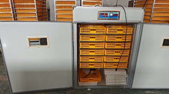 Grote 1000-eieren incubatormac - Poultry Incubator recensie en prijs