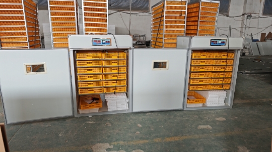 Grote 1000-eieren incubatormac - Poultry Incubator recensie en prijs