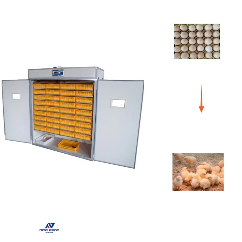 Pluimvee-eierenbroedmachine, z - Poultry Incubator recensie en prijs