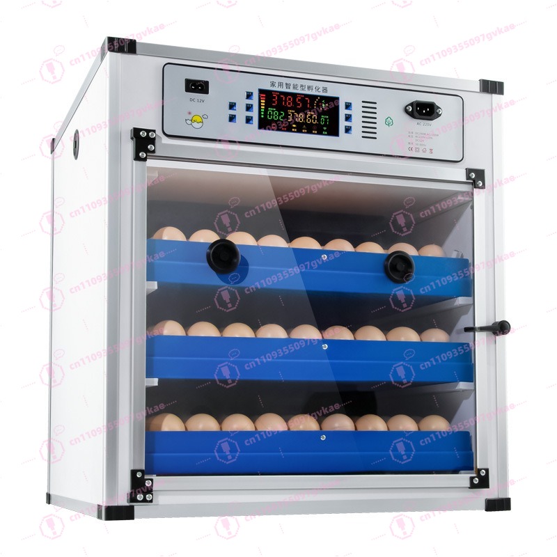 Draagbare huishoudelijke ei-in - Poultry Incubator recensie en prijs