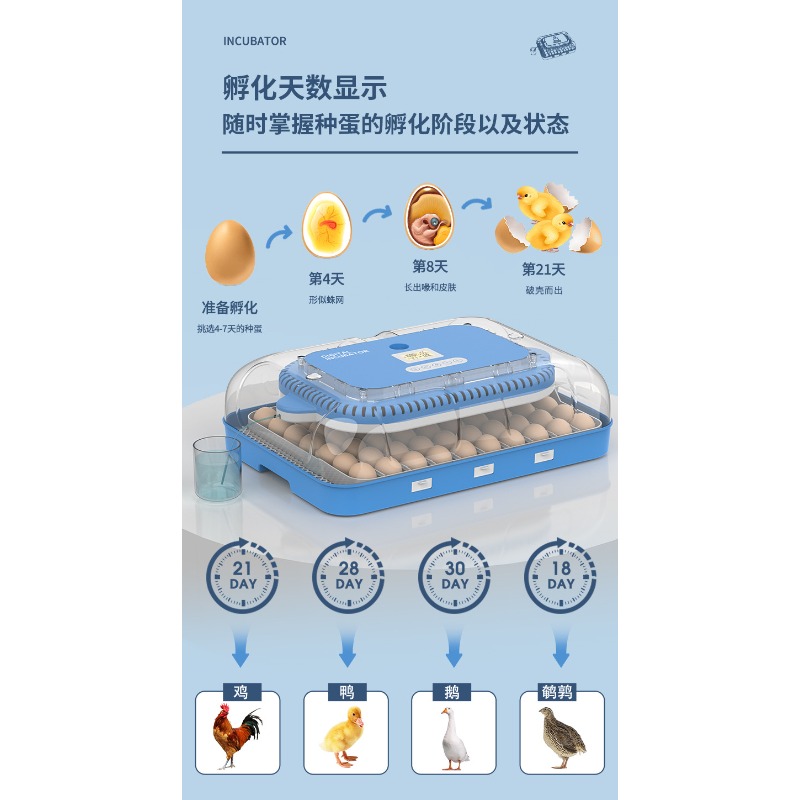Automatische eierbroedmachine  - Poultry Incubator recensie en prijs